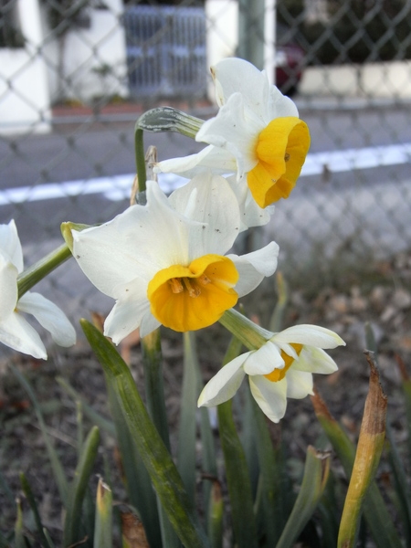 f:id:gzutetsu:20120129152839j:image