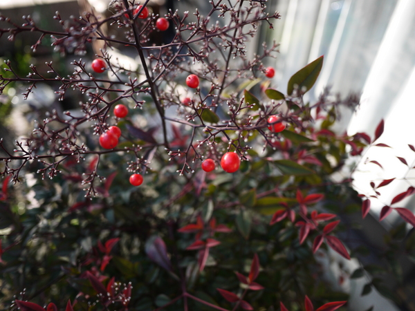 f:id:gzutetsu:20120129153015j:image