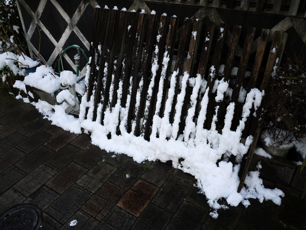 f:id:gzutetsu:20120202121337j:image