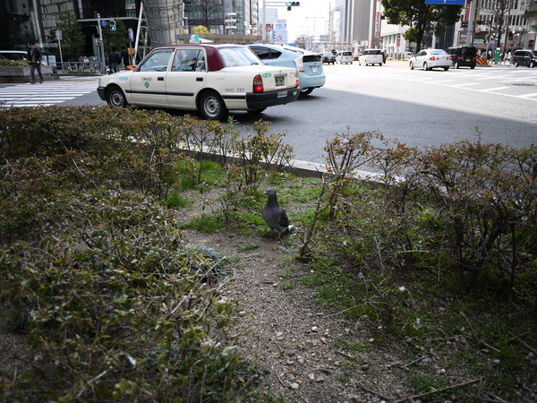 f:id:gzutetsu:20120212104225j:image