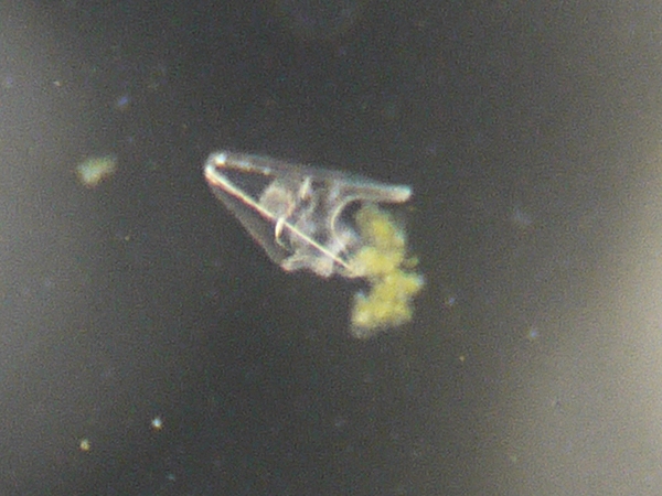 f:id:gzutetsu:20120218155937j:image
