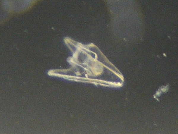 f:id:gzutetsu:20120218160228j:image
