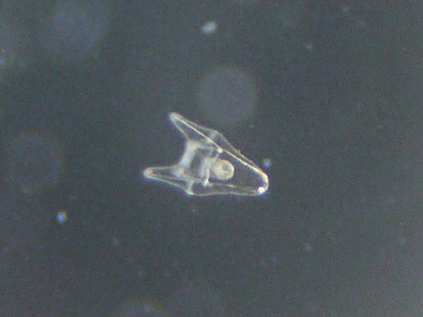 f:id:gzutetsu:20120218160530j:image