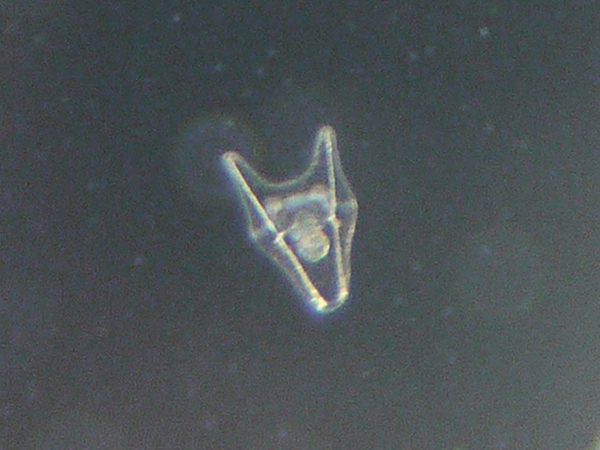 f:id:gzutetsu:20120218160640j:image