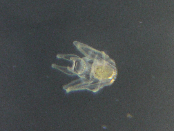 f:id:gzutetsu:20120218162411j:image