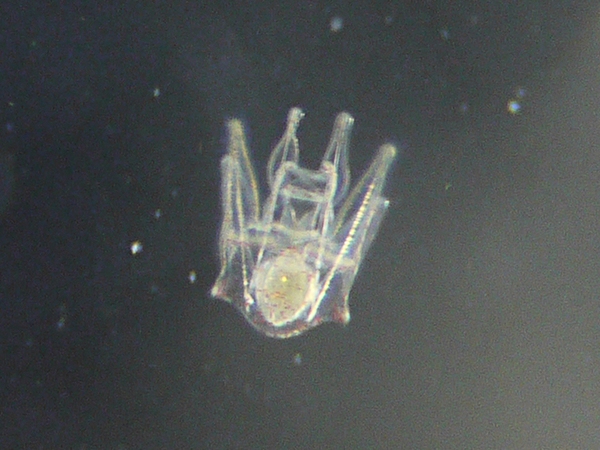 f:id:gzutetsu:20120218163552j:image