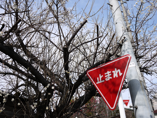 f:id:gzutetsu:20120310145210j:image