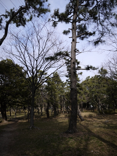 f:id:gzutetsu:20120310153436j:image