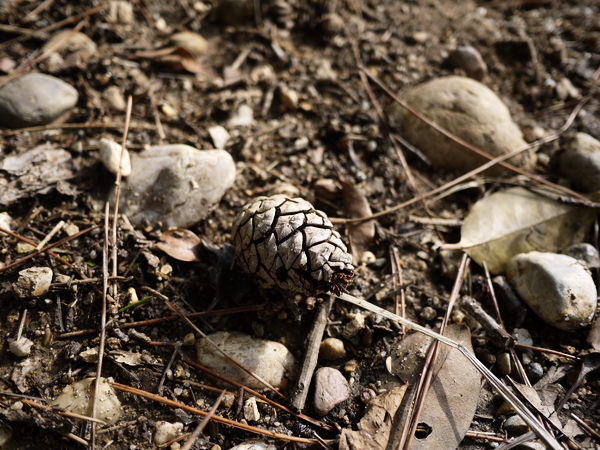 f:id:gzutetsu:20120310153709j:image