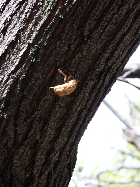 f:id:gzutetsu:20120310154325j:image
