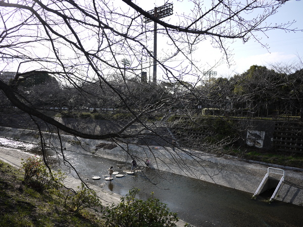 f:id:gzutetsu:20120310154748j:image