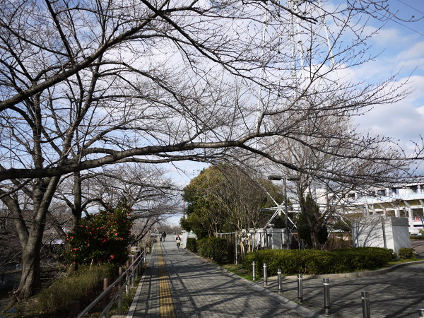 f:id:gzutetsu:20120310155336j:image