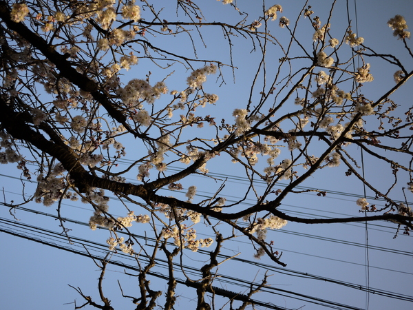 f:id:gzutetsu:20120310170708j:image