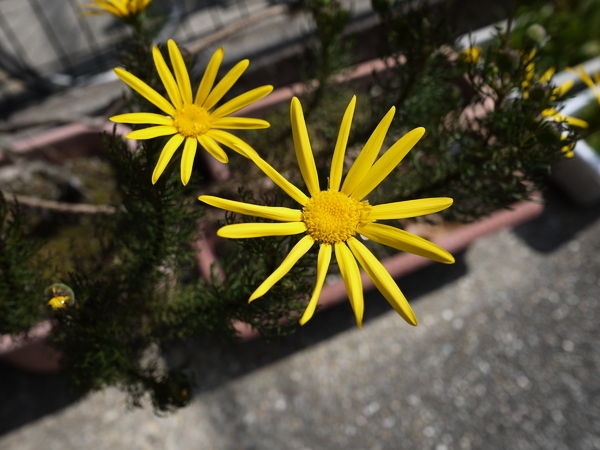 f:id:gzutetsu:20120311111951j:image