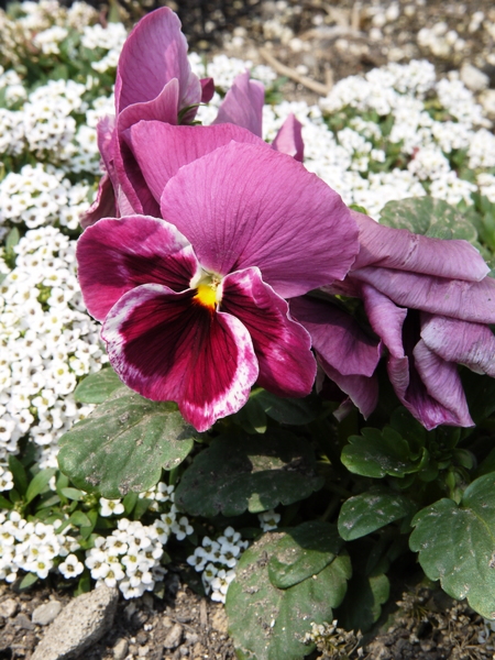 f:id:gzutetsu:20120311113714j:image