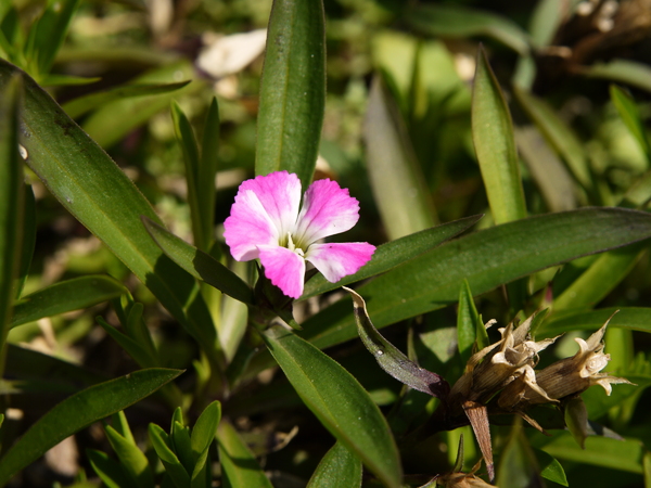 f:id:gzutetsu:20120311113750j:image