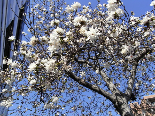 f:id:gzutetsu:20120404145744j:image