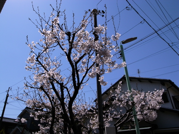 f:id:gzutetsu:20120408110938j:image