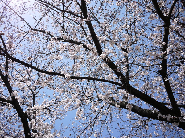 f:id:gzutetsu:20120408112400j:image