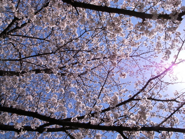 f:id:gzutetsu:20120408112527j:image