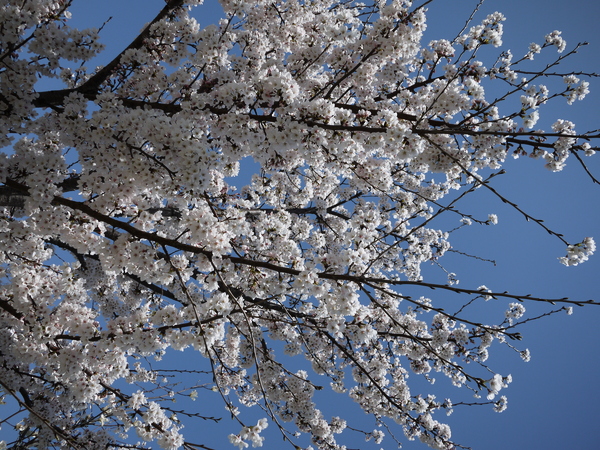 f:id:gzutetsu:20120408112931j:image
