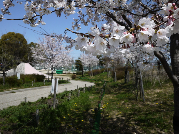 f:id:gzutetsu:20120408113226j:image