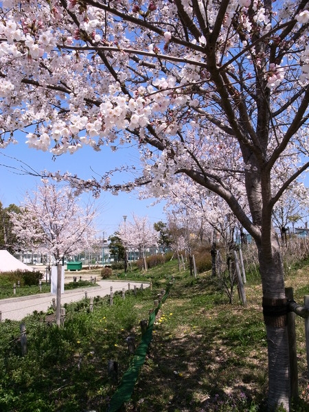 f:id:gzutetsu:20120408113257j:image