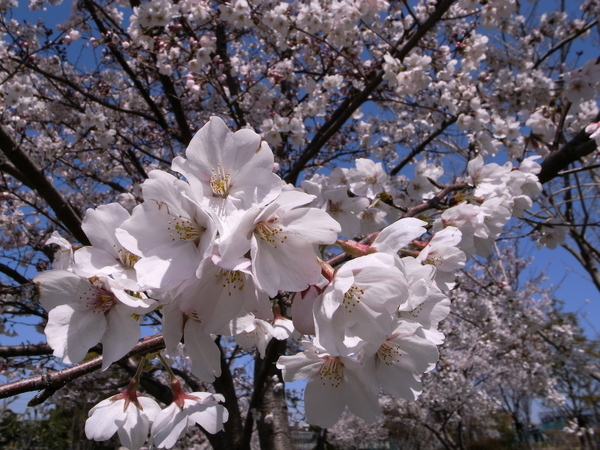 f:id:gzutetsu:20120408113543j:image