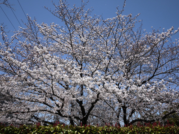 f:id:gzutetsu:20120408114200j:image
