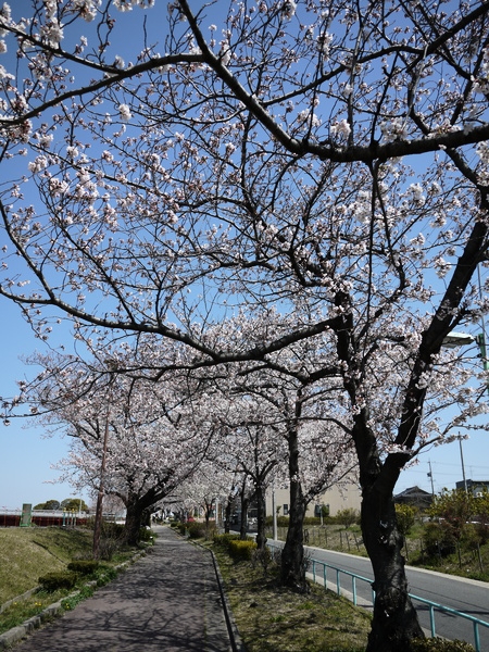 f:id:gzutetsu:20120408115731j:image