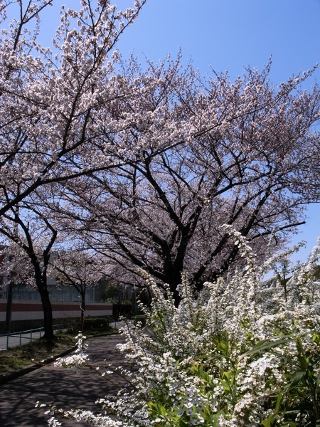 f:id:gzutetsu:20120408115901j:image