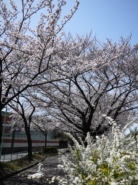 f:id:gzutetsu:20120408120045j:image