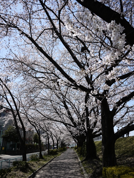 f:id:gzutetsu:20120408120219j:image