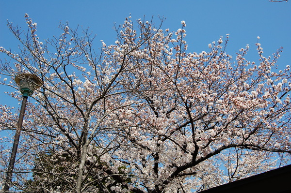 f:id:gzutetsu:20120408120225j:image