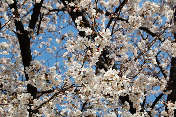 f:id:gzutetsu:20120408120600j:image