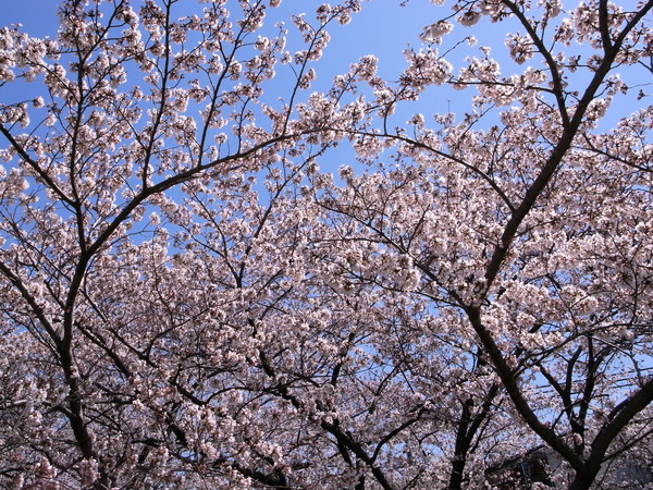 f:id:gzutetsu:20120408120617j:image