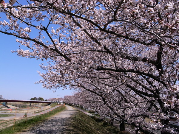 f:id:gzutetsu:20120408120717j:image