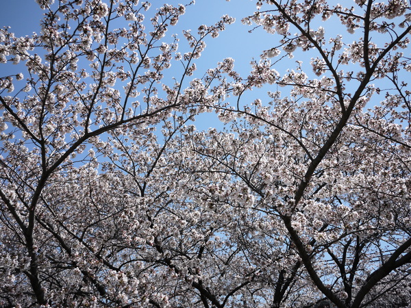 f:id:gzutetsu:20120408120723j:image