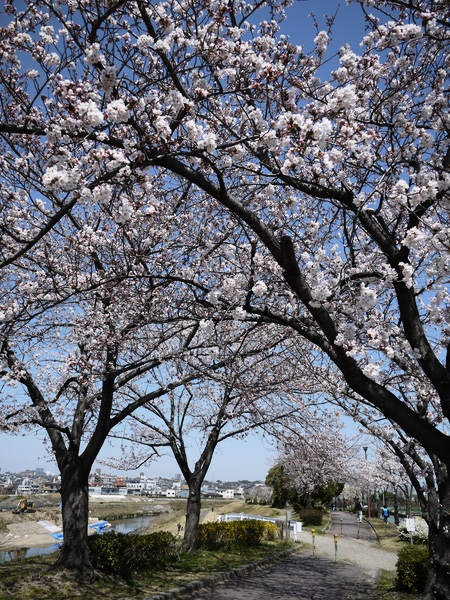 f:id:gzutetsu:20120408122524j:image