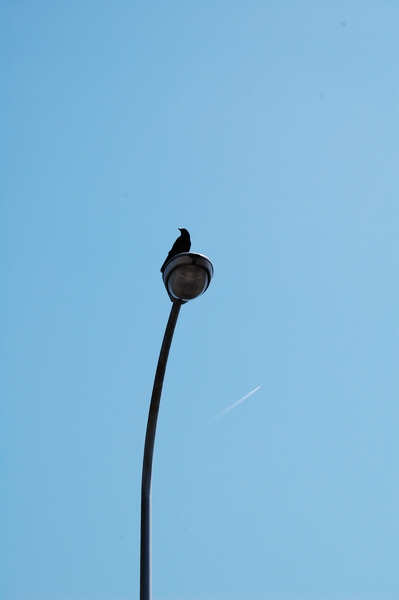 f:id:gzutetsu:20120408122832j:image