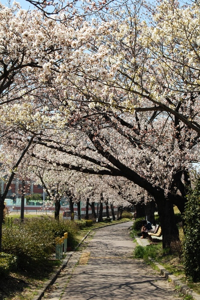f:id:gzutetsu:20120408123346j:image