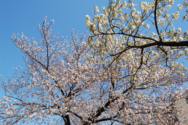f:id:gzutetsu:20120408123516j:image