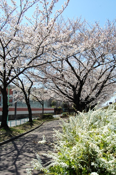 f:id:gzutetsu:20120408123933j:image