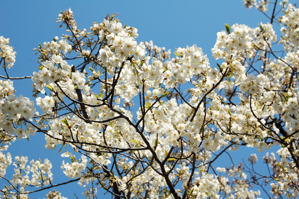 f:id:gzutetsu:20120408124526j:image