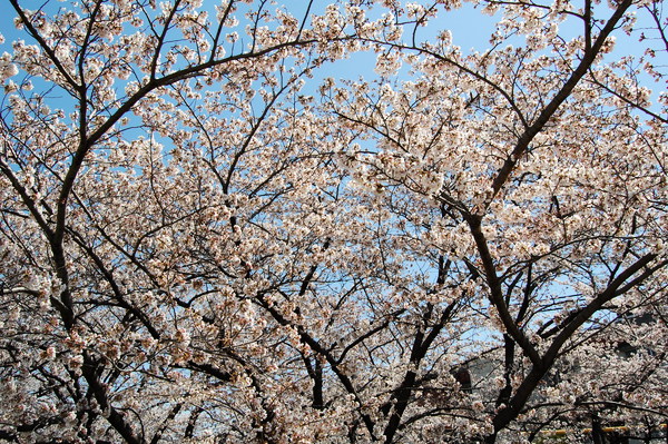 f:id:gzutetsu:20120408124718j:image