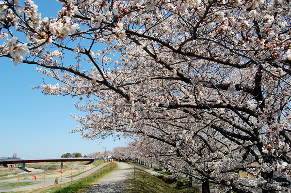 f:id:gzutetsu:20120408124929j:image