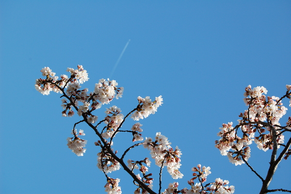 f:id:gzutetsu:20120408124954j:image