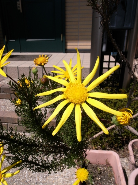 f:id:gzutetsu:20120408125554j:image