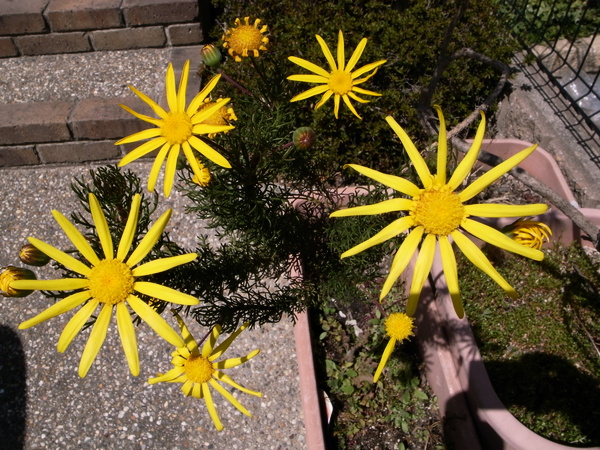 f:id:gzutetsu:20120408125607j:image