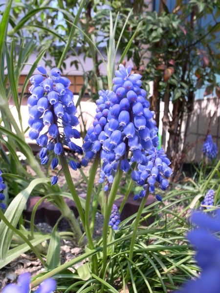 f:id:gzutetsu:20120408125717j:image